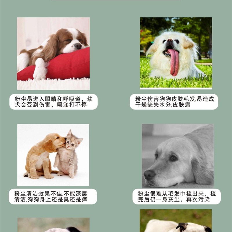 免洗泡沫法斗英斗狗狗干洗粉泰迪巴哥沐浴露除臭宠物幼犬洗澡