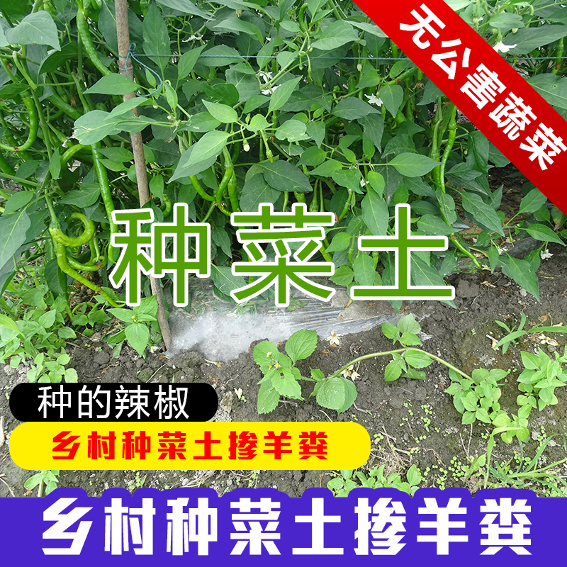 阳台种菜土 田园种菜土壤家用种植土通用型蔬菜种土营养土