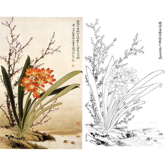 工笔画白描底稿花卉实物勾线打印稿俞致贞君子兰尺寸可选-JV36