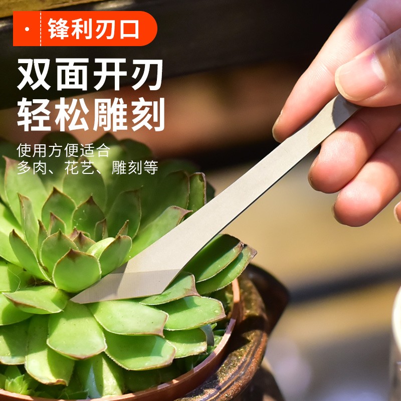 不锈钢雕刻刀水仙花雕刻刀 水仙雕刻多肉繁殖切割刀嫁接刀芽接刀