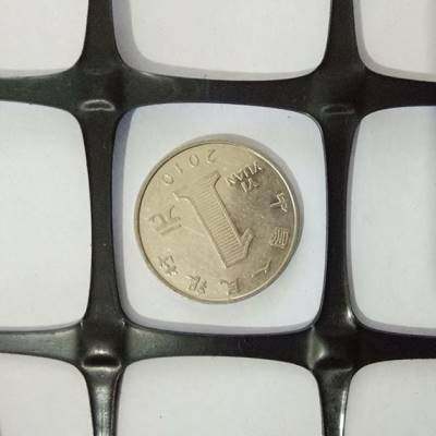 养殖防护网鸡鸭全新料小孔网塑料网格G栅网拦网漏粪网床护栏围栏