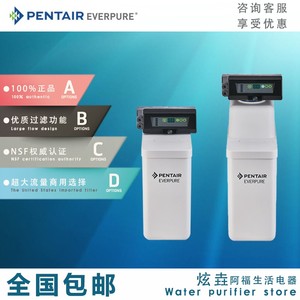 滨特尔爱惠浦SFT-PT-18 家用软水机13橱柜迷你小型软水器树脂除垢