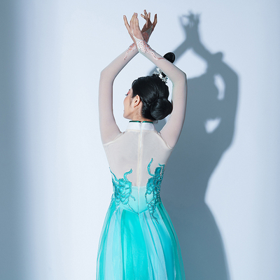 芒种古风舞蹈服锦瑟古典舞服装练功服夏古典舞纱衣身韵新款表演服