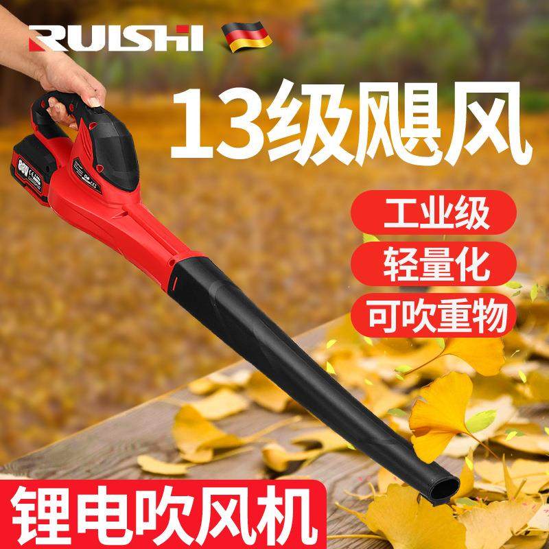 新款直销锐仕鼓风机家用吹风机大功率充电式锂电吹灰机电脑清灰工,个人护理/保健/按摩器材,电吹风,淘宝优惠券,粉丝福利购,淘宝优惠卷