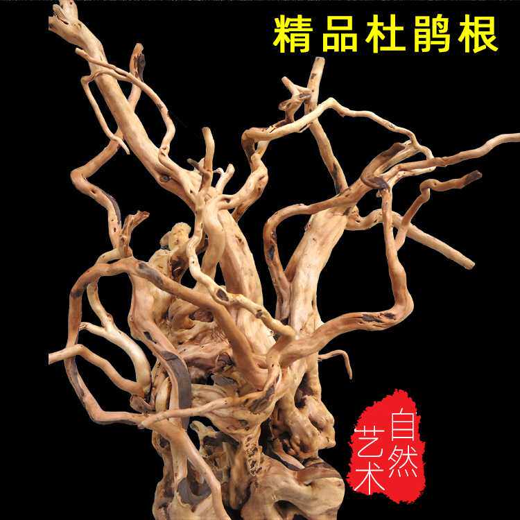 产地 水族箱造景装饰杜鹃根沉木木栖根水景草缸莫斯树沉木鱼缸