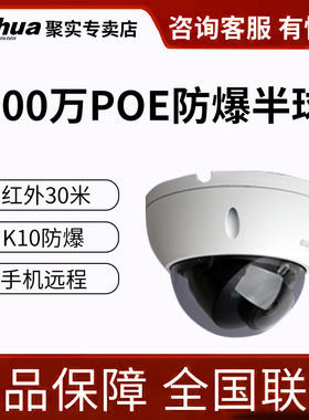 大华安防网络监控200万防暴半球POE红外摄像头室内外防水远程