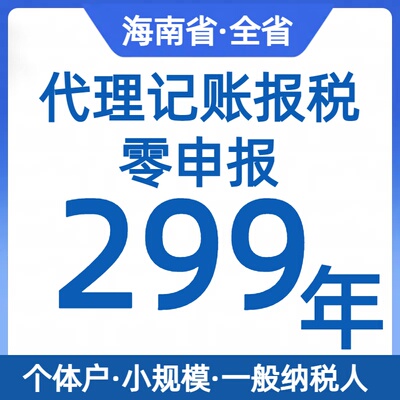 海南全省代理记账0申报会计服务