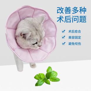 直销新款猫咪伊丽莎白圈猫柔软轻度防水绝育美容术后保护安全保护