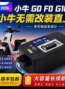 适配小牛F048V锂电池长续航