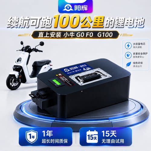 g0/f0/fg100电动车锂电池