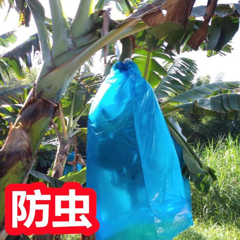 香蕉防寒套袋专用杆香蕉套袋神器香蕉种植防护套袋农业用套袋设备