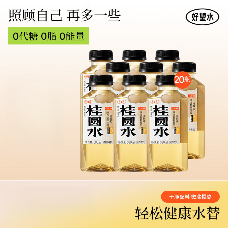 好望水植物饮料红枣枸杞桂圆水0脂0能量无蔗糖 桂圆水380ml*20瓶