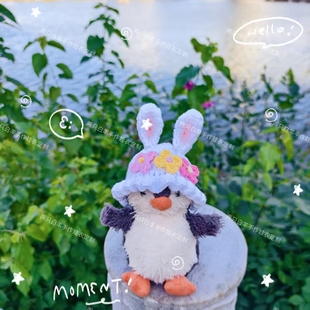 jellycat12cm花生企鹅娃衣玩偶挂件衣服兔耳帽配饰来图颜色可定制