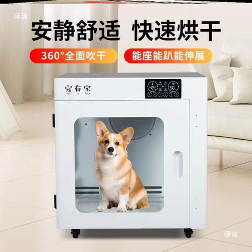 吹水机洗澡宠物烘干机全狗狗商用猫咪洗狗机全自动见描述非吊臂式