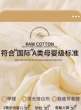 A类纤豆维子被春秋被202cp-kmn-5新款薄被芯学生宿舍冬被单人大四