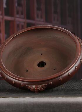 PKZ古兽头云角鼓丁圆形矮复盆假山榕树迎松造景S盆Z客D06