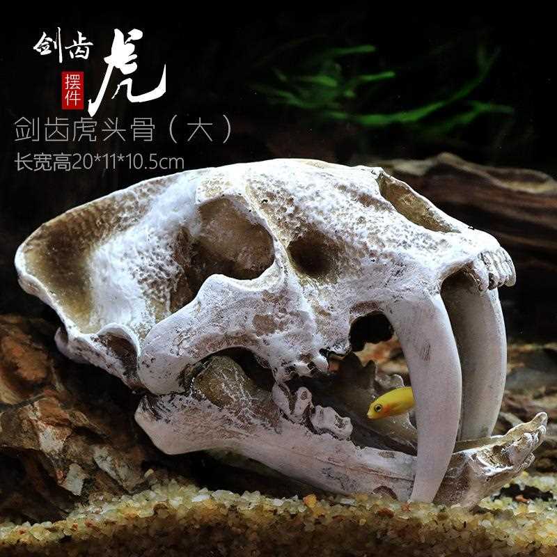 新款直销恐龙头骨躲避屋树脂爬宠爬虫水草造景仿真头骨鱼缸水族箱