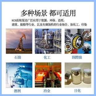 新款 鑄鐵合金齒 小流量齒輪泵小型食用油泵家用 直銷kcb齒輪油泵