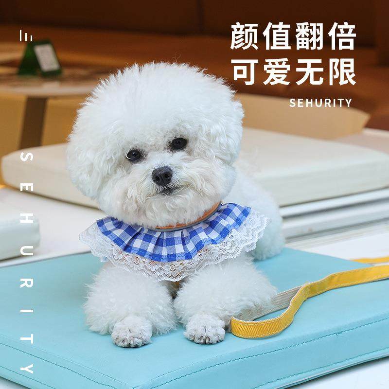 直销新款当季新款溜猫绳防勒勃防挣脱牵引绳小型犬遛狗狗链子可调,宠物/宠物食品及用品,猫牵引绳,淘宝优惠券,粉丝福利购,淘宝优惠卷