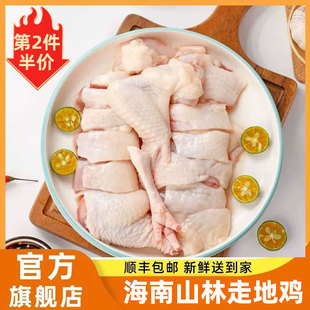新鲜海南正宗三黄散养走地鸡整鸡修油切块 500克一盒去头尾无内脏