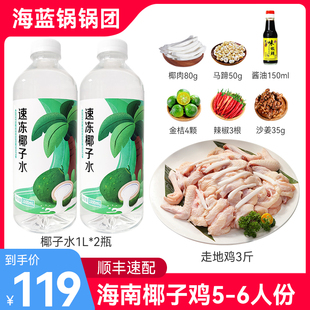 海蓝锅锅团海南椰子鸡火锅5-6人份全套餐 散养走地鸡肉