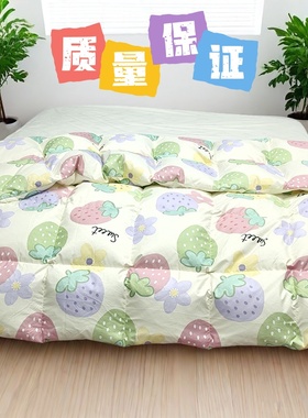 自充绒羽绒被壳内胆空壳被皮双层防钻绒羽绒服翻新羽绒被空壳外皮