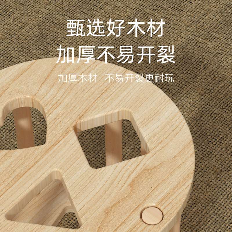 儿童早教益智十二孔智力盒形状配对多孔19认知积木2-34岁宝宝玩具