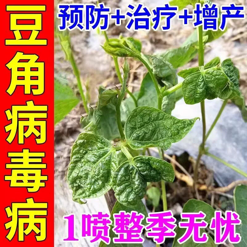 豆角病菌清锈病专用药花叶卷叶病毒病专用药黄叶病农药微生物菌剂