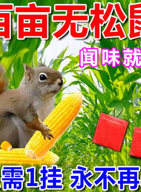 松鼠药防老鼠偷吃庄稼果