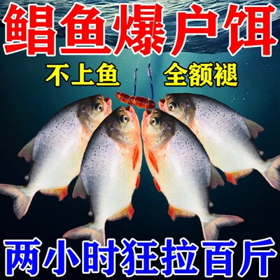 钓红鲳鱼专用饵料红腹食人鲳鱼平鱼淡水黑坑钓野生鲳鱼小药添加剂