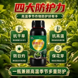 仙花树下鲁大师抗热卫士植物防晒
