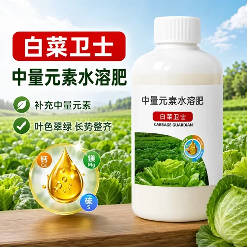 白菜卫士大白菜甘蓝包心蔬菜防烂