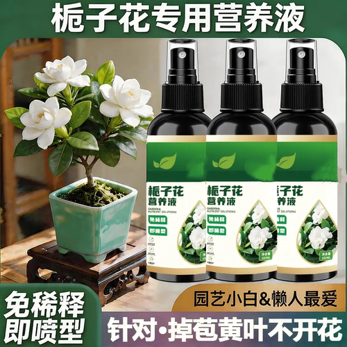 栀子花营养液免稀释针对掉苞专用