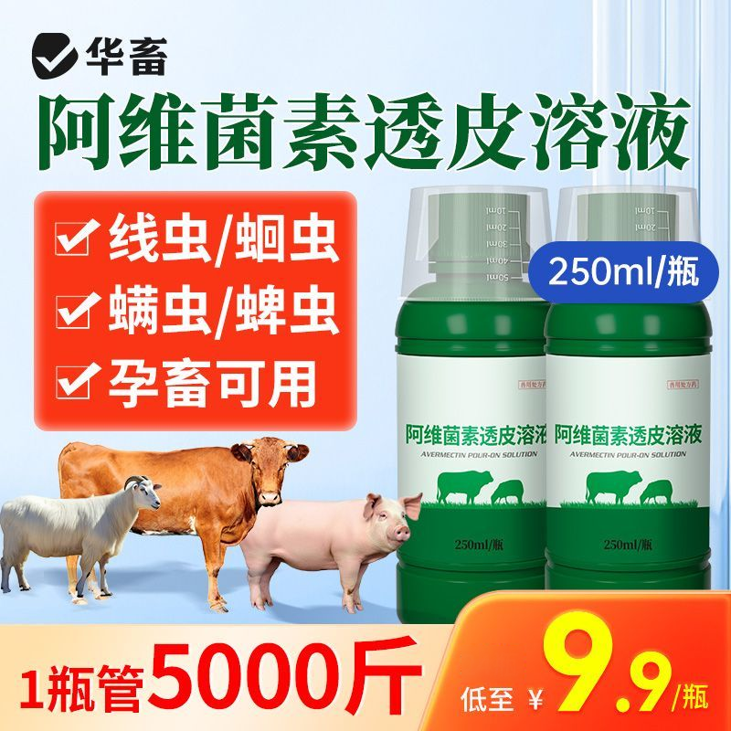 华畜阿维菌素透皮溶液兽用猪牛羊孕畜内外双驱虫阿维茵素打虫兽药