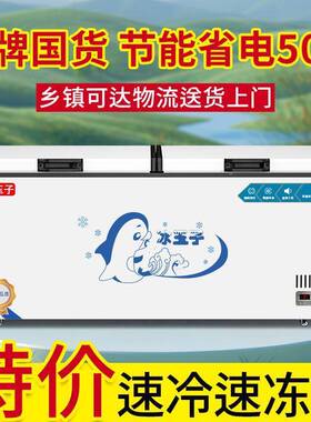 家用商用卧冰式冷藏箱冷冻两用冰柜单冷温双温OUS节能柜外贸跨境