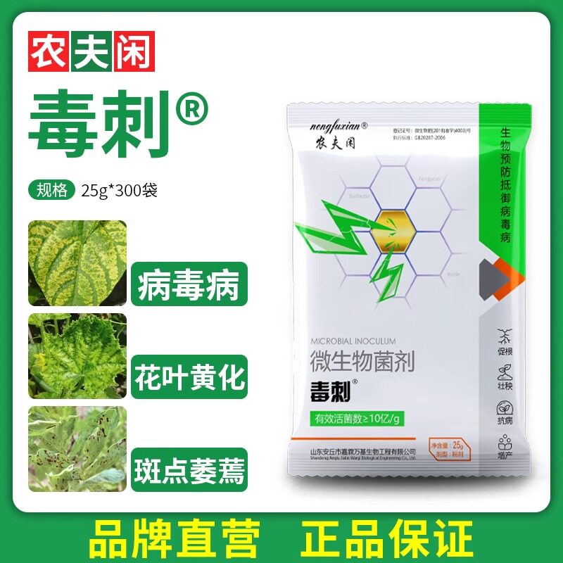 病毒病辣椒病毒病条斑病生物菌剂绿色农用黄叶小叶环保病毒病