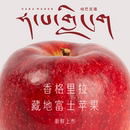 香格里拉藏地富士苹果