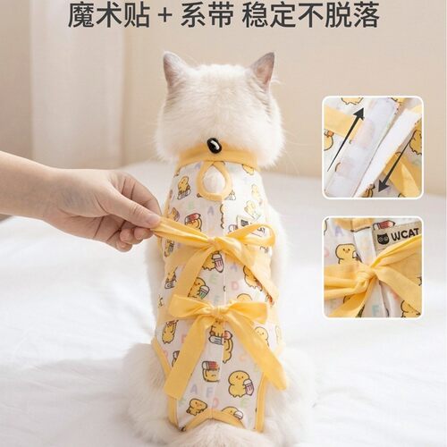 猫咪绝育服可调节断奶戒奶服公猫术后服防舔母猫狗狗手术宠物衣服