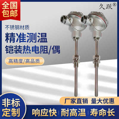 铠装热电阻防爆JY-WZPK温度传感器PT1000型WZPK2-PT100双支铂电阻