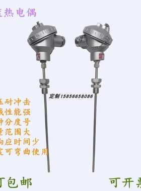 铠装热电偶WRNK型WREK型WRMK型WRFK型WRCK型WRPK热电偶温度传感器