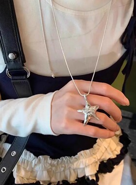 精致风时尚星星项链高级感毛衣链