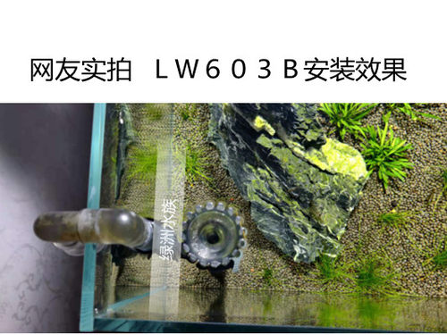 森森佳璐HBL803 HW603B过滤器壁挂旋风配件管件604B鱼缸除油膜管