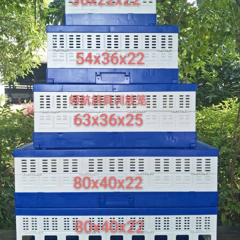 领航鸽子笼放飞笼训放笼折叠训鸽笼塑料报道笼赛信鸽用品鸽具包邮