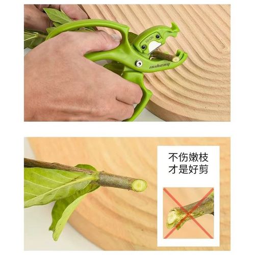 鲜花打刺钳玫瑰花去刺器花艺花店修枝剪插花修花剪刀除刺修剪花卉