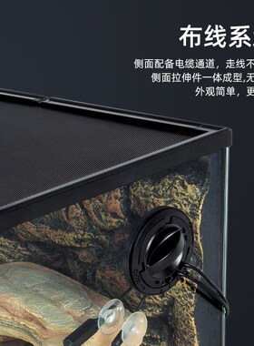 瑞皮Reptizoo玩酷爬宠饲养箱角蛙蜥蜴守宫爬虫玻璃缸蛇乌龟雨林缸