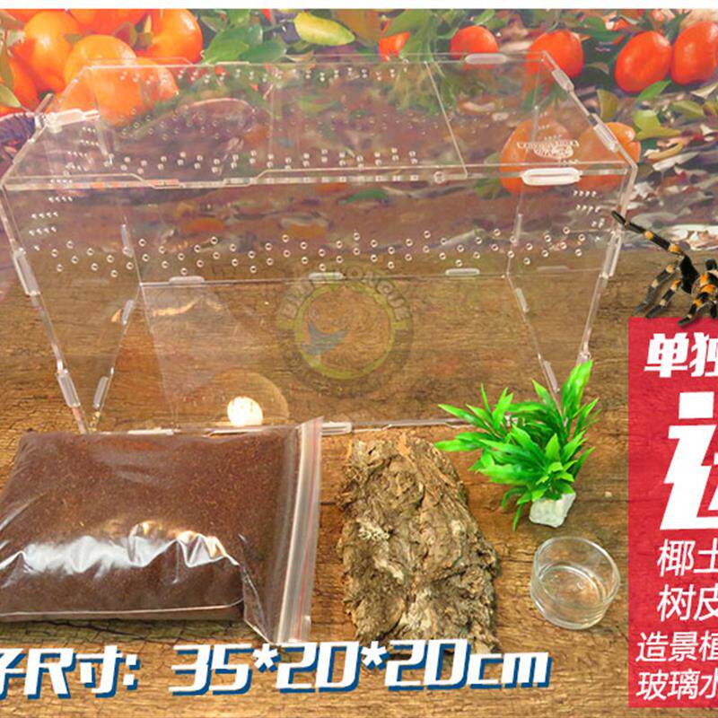 爬虫红火玫瑰蜘蛛亚克力饲养箱盒雨林蝎守宫蜈蚣宠物玉米蛇352020