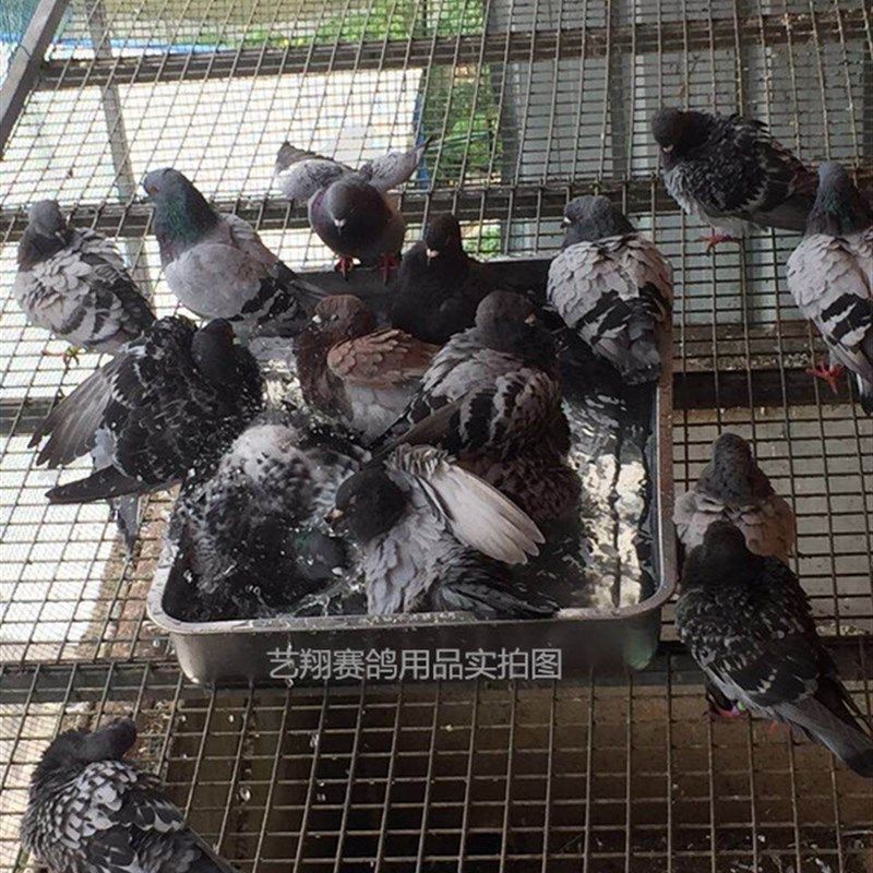 包邮信鸽用品用具赛鸽专用加厚不锈钢鸽子洗澡盆不锈钢食盘大号