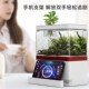 迷你鱼缸客厅家用造景生态缸小型自循环懒人免换水底滤桌面金鱼缸