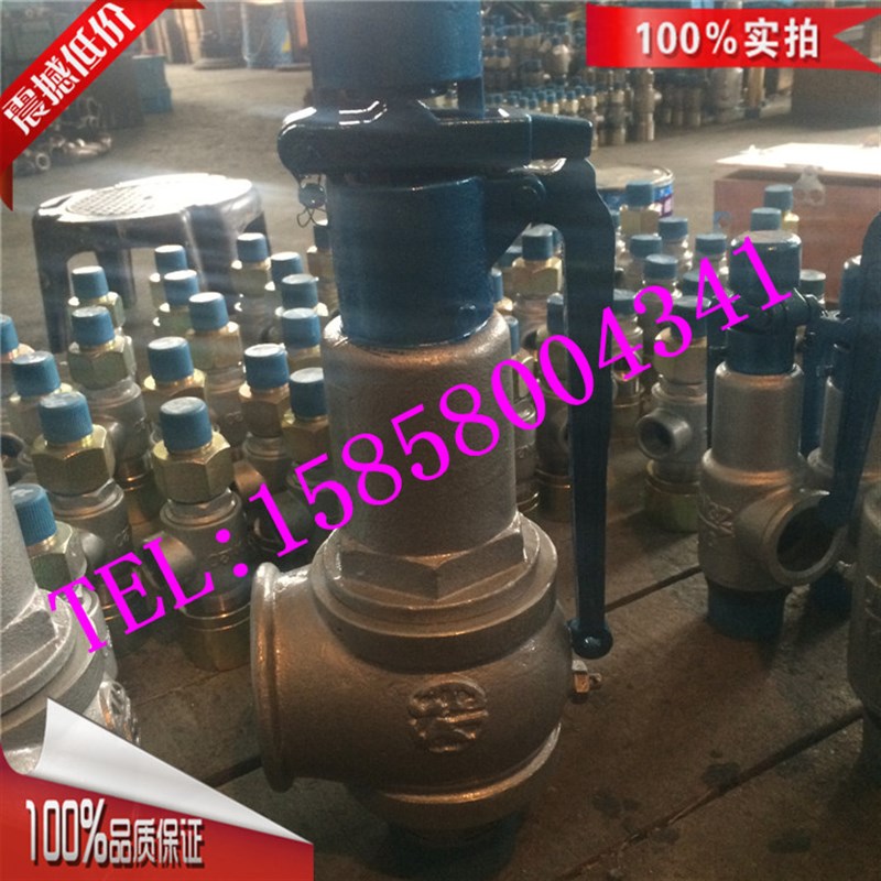 A27H/Y-16Q球墨铸铁安全阀 空气蒸气管道铸铁罗浮安全阀 1/2寸