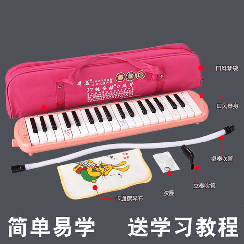 奇美37键口风琴32键儿童学生成人初学者老师课堂教学专业演奏乐器